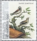 House Sparrow Passer domesticus  2021 Birds (St Eustatius) 2021 Sheet