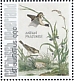 Meadow Pipit Anthus pratensis  2021 Birds (St Eustatius) 2021 Sheet