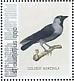 Western Jackdaw Coloeus monedula  2021 Birds (St Eustatius) 2021 Sheet