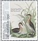 Little Grebe Tachybaptus ruficollis  2021 Birds (St Eustatius) 2021 Sheet