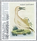 Northern Gannet Morus bassanus  2021 Birds (St Eustatius) 2021 Sheet
