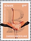 American Flamingo Phoenicopterus ruber  2022 Fauna (Bonaire) 10v sheet
