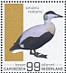 Common Eider Somateria mollissima  2022 Birds (Bonaire) 2022 Sheet