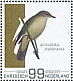 Great Reed Warbler Acrocephalus arundinaceus  2022 Birds (Bonaire) 2022 Sheet