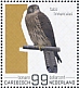Common Kestrel Falco tinnunculus  2022 Birds (Bonaire) 2022 Sheet