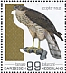 Eurasian Sparrowhawk Accipiter nisus  2022 Birds (Bonaire) 2022 Sheet