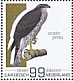 Eurasian Goshawk Accipiter gentilis