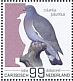 Common Wood Pigeon Columba palumbus  2022 Birds (Saba) 2022 Sheet