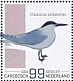 Sandwich Tern Thalasseus sandvicensis  2022 Birds (Saba) 2022 Sheet