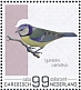 Eurasian Blue Tit Cyanistes caeruleus