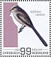 Long-tailed Tit Aegithalos caudatus  2022 Birds (Saba) 2022 Sheet
