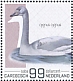 Whooper Swan Cygnus cygnus  2022 Birds (Saba) 2022 Sheet