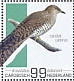 Common Cuckoo Cuculus canorus  2022 Birds (St Eustatius) 2022 Sheet
