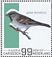 House Sparrow Passer domesticus  2022 Birds (St Eustatius) 2022 Sheet