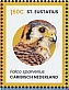 American Kestrel Falco sparverius