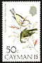 Yucatan Vireo Vireo magister  1974 Birds 