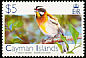 Western Spindalis Spindalis zena  2006 Birds definitives 