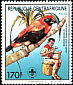 Black-winged Red Bishop Euplectes hordeaceus  1988 Scouts and birds 