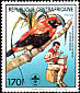 Black-winged Red Bishop Euplectes hordeaceus