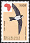 Alpine Swift Tachymarptis melba