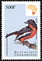 Crimson-breasted Shrike Laniarius atrococcineus