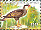 Crested Caracara Caracara plancus