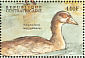 Egyptian Goose Alopochen aegyptiaca  2000 Birds of Africa Sheet