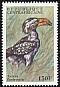 Eastern Yellow-billed Hornbill Tockus flavirostris  2000 Birds of Africa 