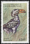 Eastern Yellow-billed Hornbill Tockus flavirostris