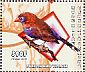 Violet-eared Waxbill Granatina granatina  2001 Birds Sheet