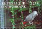 Grey Parrot Psittacus erithacus