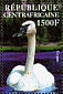 Trumpeter Swan Cygnus buccinator