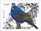 Blue Grosbeak Passerina caerulea