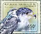 Augur Buzzard Buteo augur  2011 Raptors Sheet