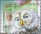 Ural Owl Strix uralensis  2011 Owls Sheet