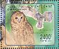 Tawny Owl Strix aluco