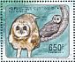 Marsh Owl Asio capensis  2011 Owls Sheet