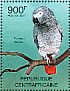 Grey Parrot Psittacus erithacus