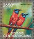 Northern Carmine Bee-eater Merops nubicus  2014 Bee-eaters  MS