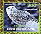 Snowy Owl Bubo scandiacus  2014 Owls Sheet