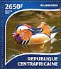 Mandarin Duck Aix galericulata  2015 Ducks  MS