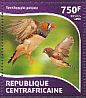 Australian Zebra Finch Taeniopygia castanotis  2015 Tropical birds Sheet