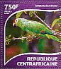 Tucuman Amazon Amazona tucumana  2015 Tropical birds Sheet