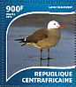 Heermann's Gull Larus heermanni  2015 Gulls Sheet