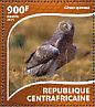 Hen Harrier Circus cyaneus