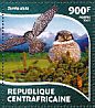 Northern Hawk-Owl Surnia ulula  2015 Owls Sheet