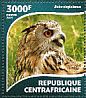 Great Horned Owl Bubo virginianus