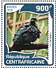 Metallic Pigeon Columba vitiensis  2016 Pigeons Sheet