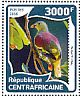 Thick-billed Green Pigeon Treron curvirostra  2016 Pigeons  MS