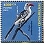 Northern Red-billed Hornbill Tockus erythrorhynchus  2023 Biodiversity, birds Sheet
